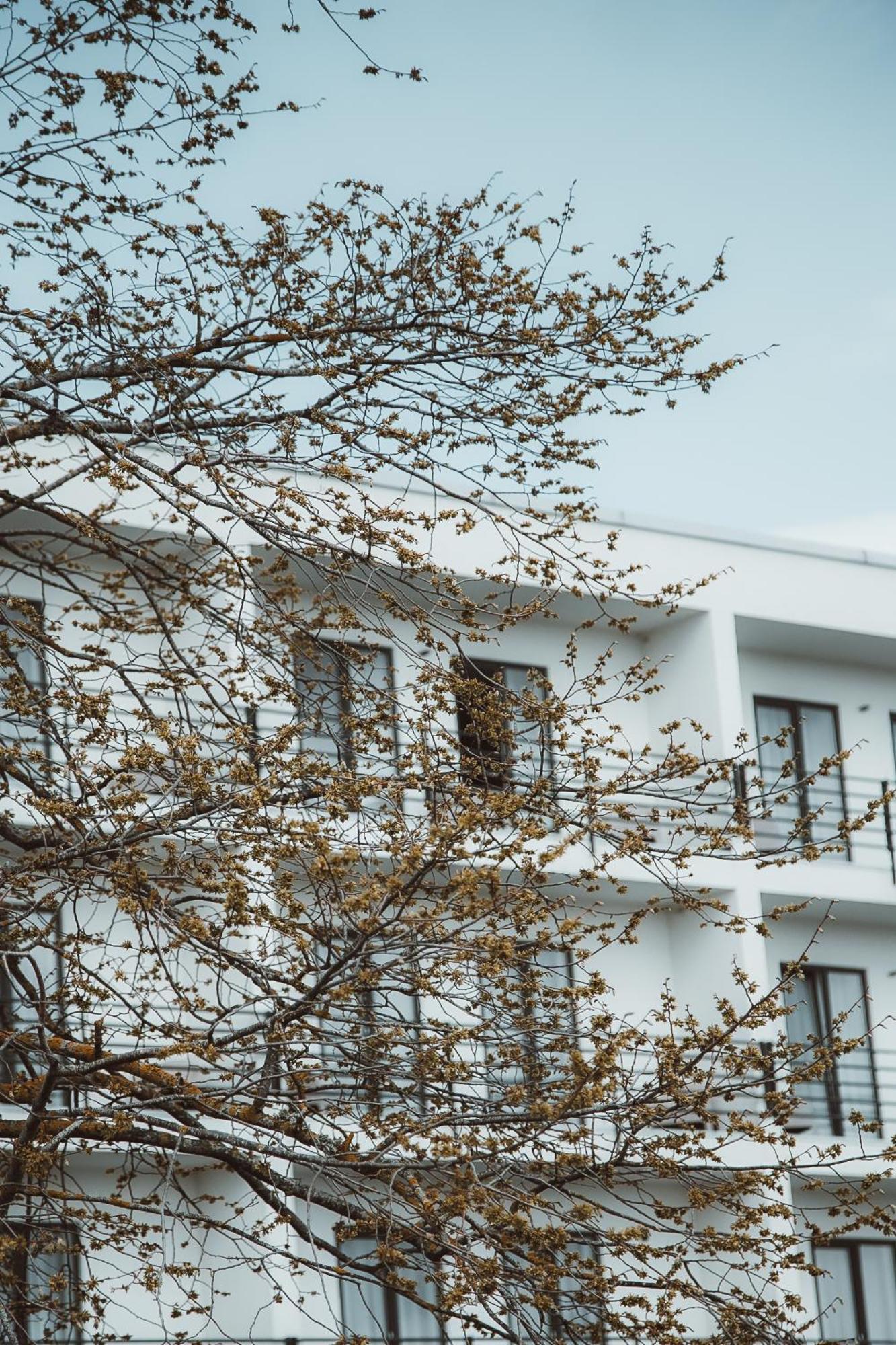 Oe Seaside Suites & Spa Курессааре Екстер'єр фото